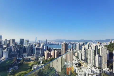 柏園 - 相片