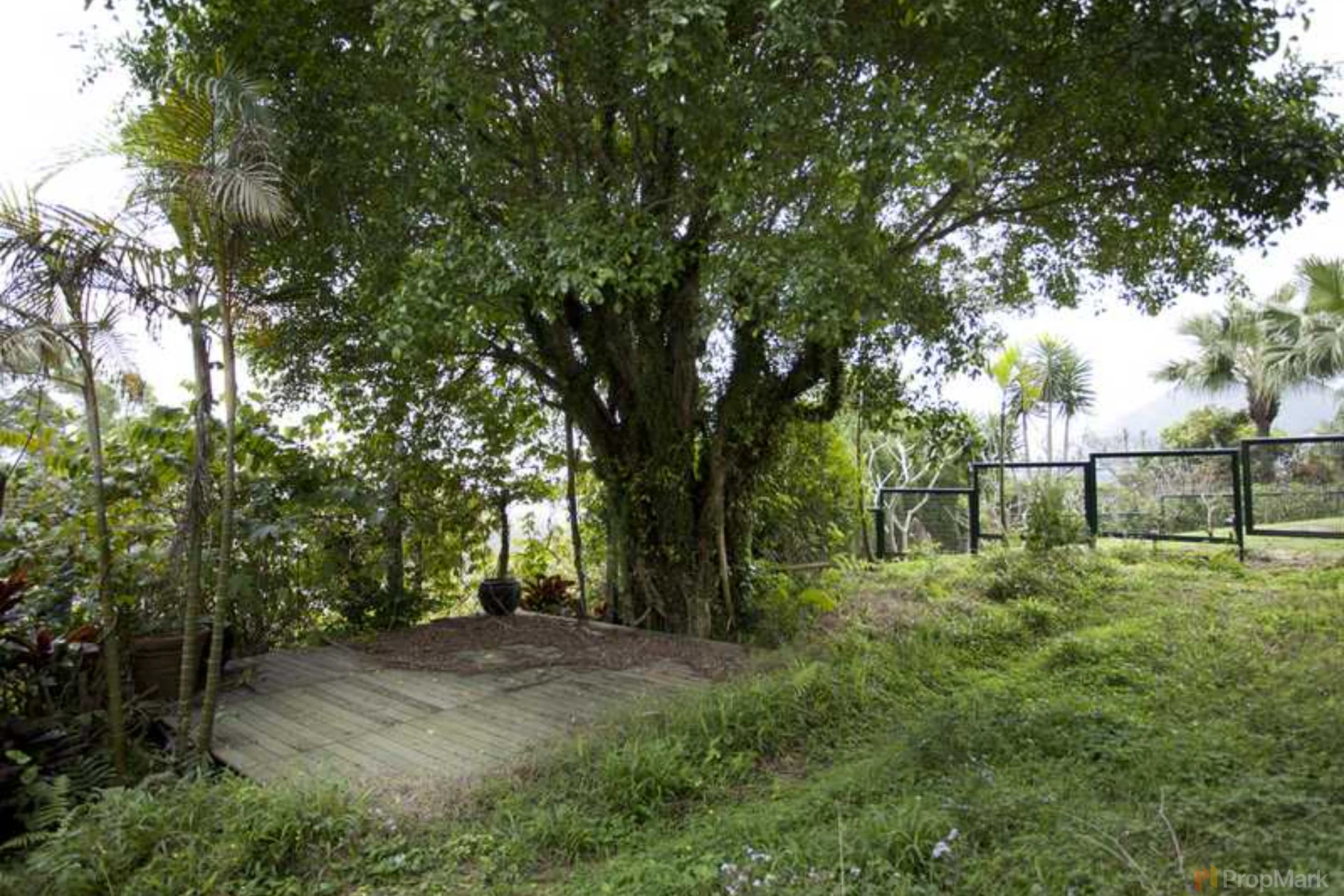 Strawberry Hill - Photo 9