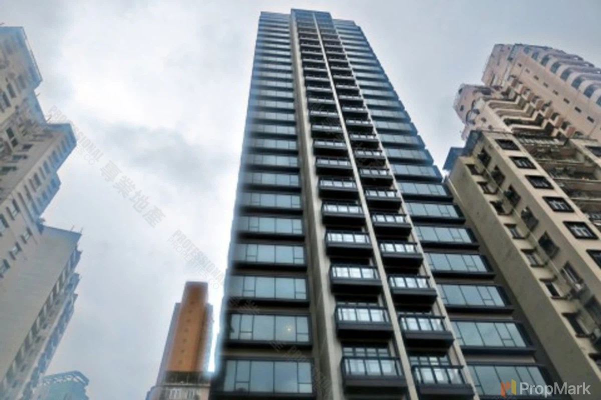 The Aster - Photo 30