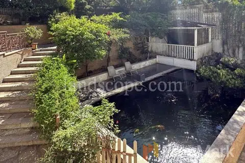 23A Shouson Hill Road - Photo 4