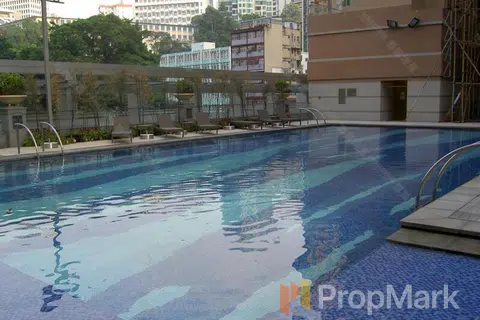 The Zenith - Photo 2