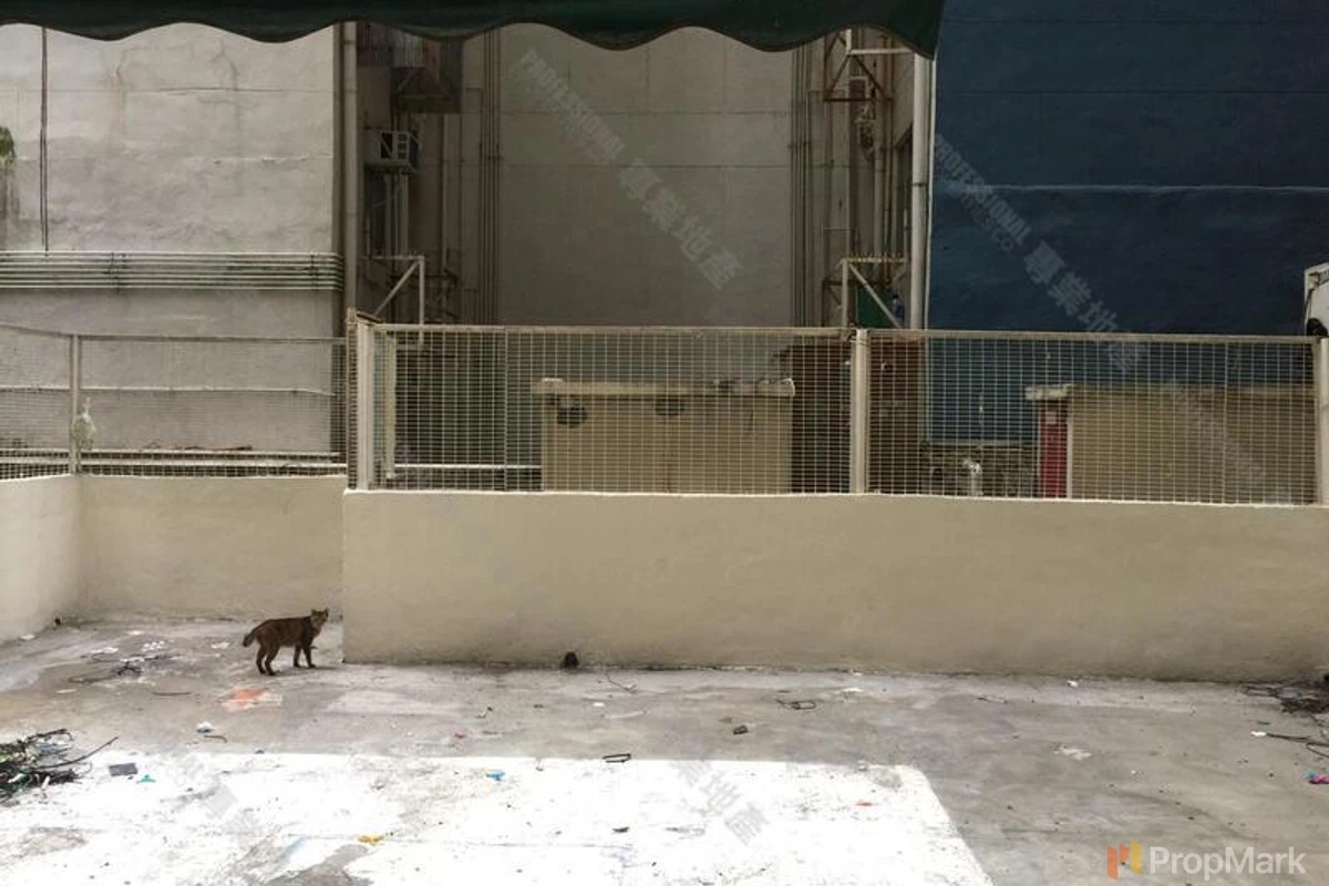 Jade Court - Photo 10