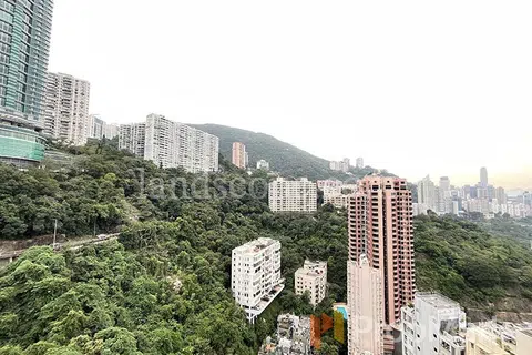 The Altitude - Photo