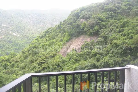 Flora Garden - Photo 2