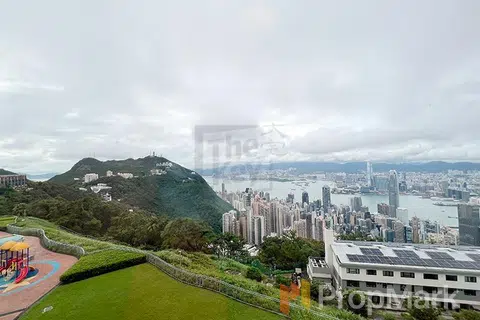 雲嶺山莊 - 相片