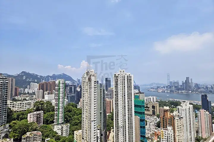 上林 - 相片 2