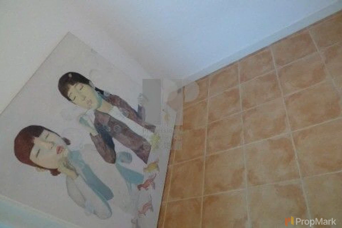 Stanley Knoll - Photo 8