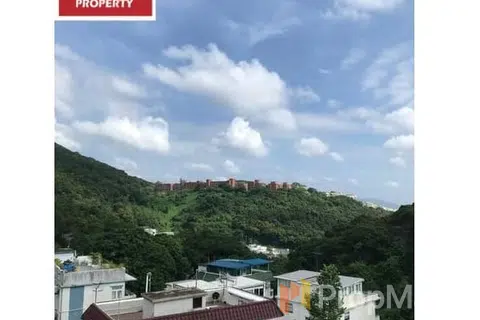 Leung Fai Tin - Photo