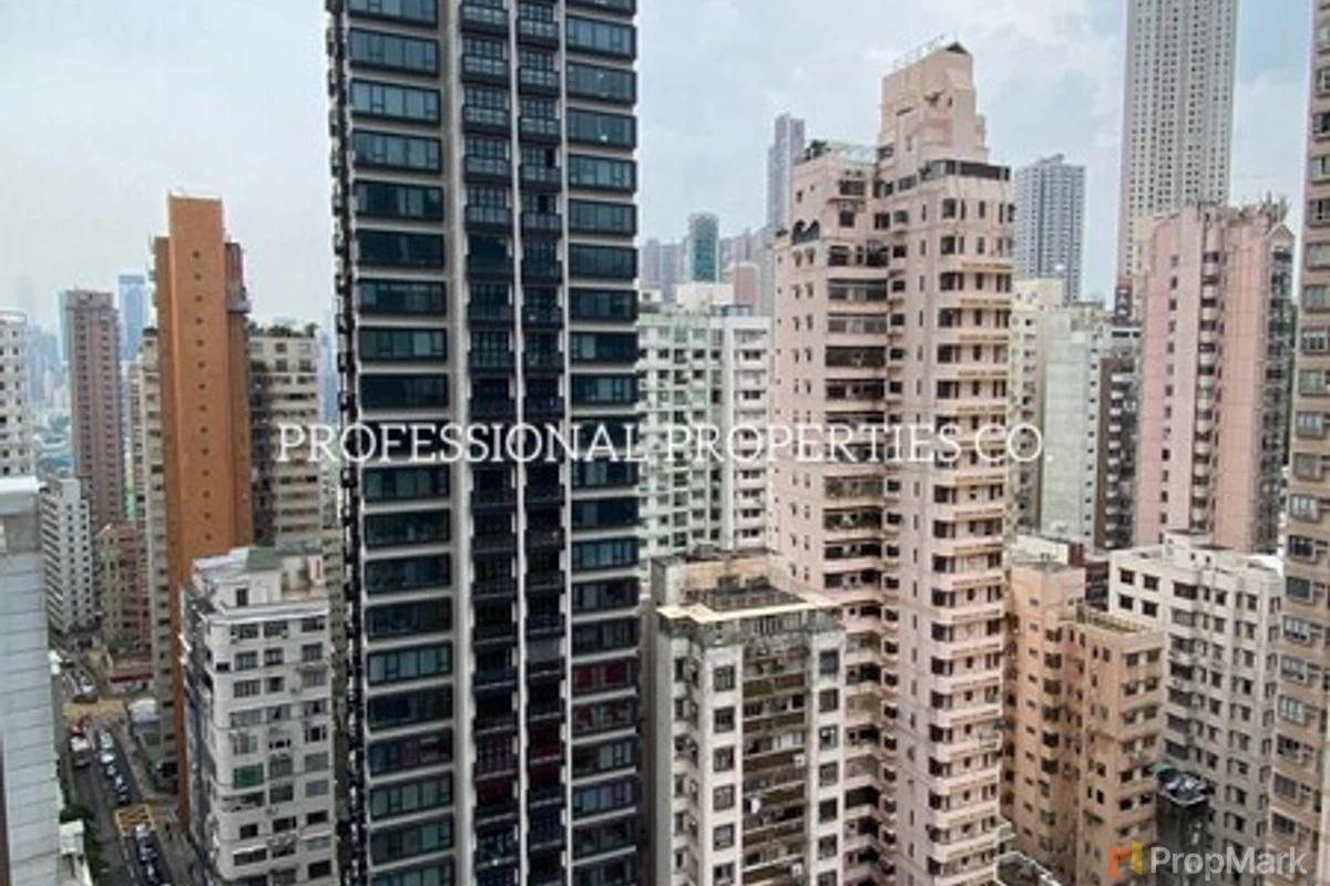 The Aster - Photo 33