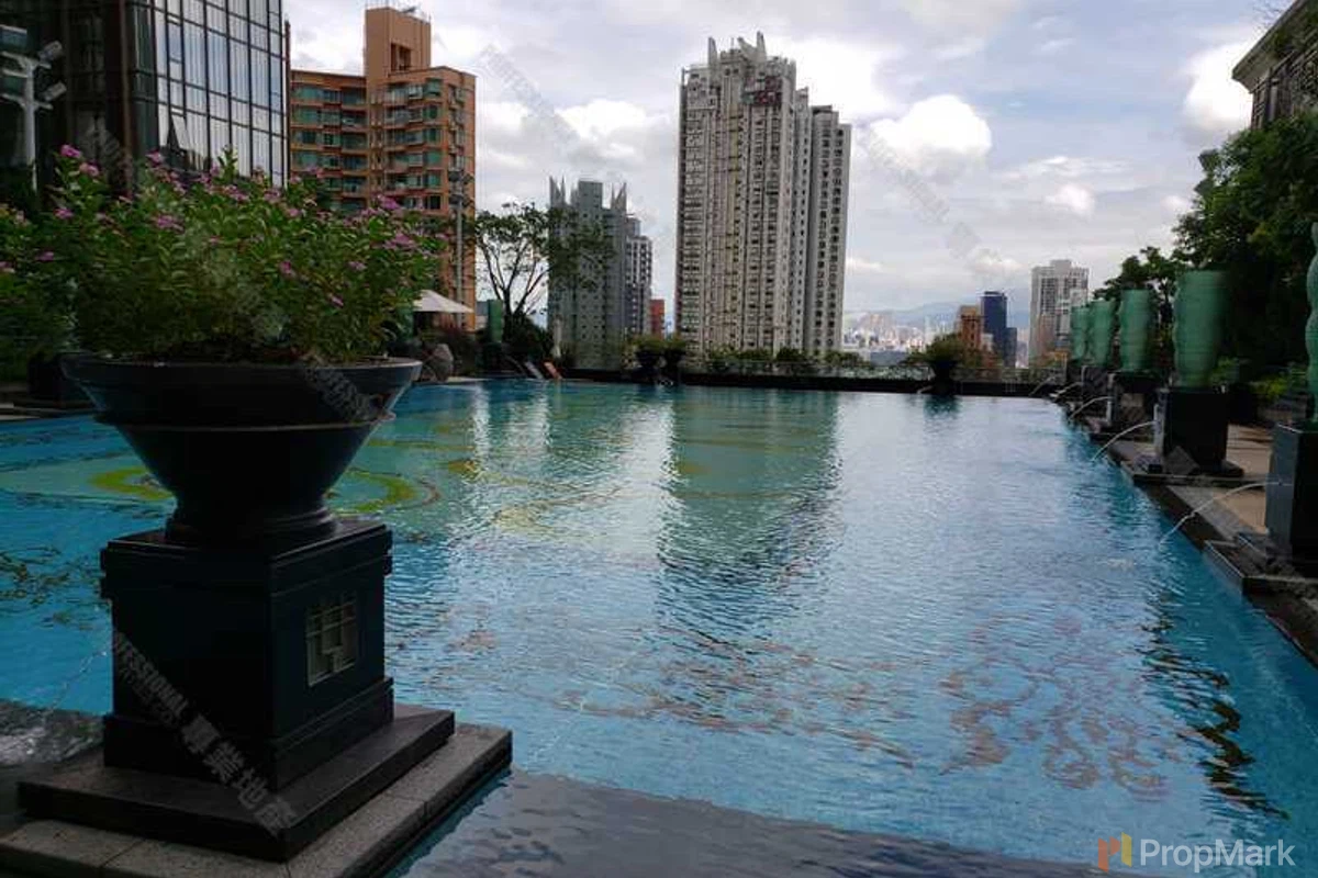 The Legend - Photo 21