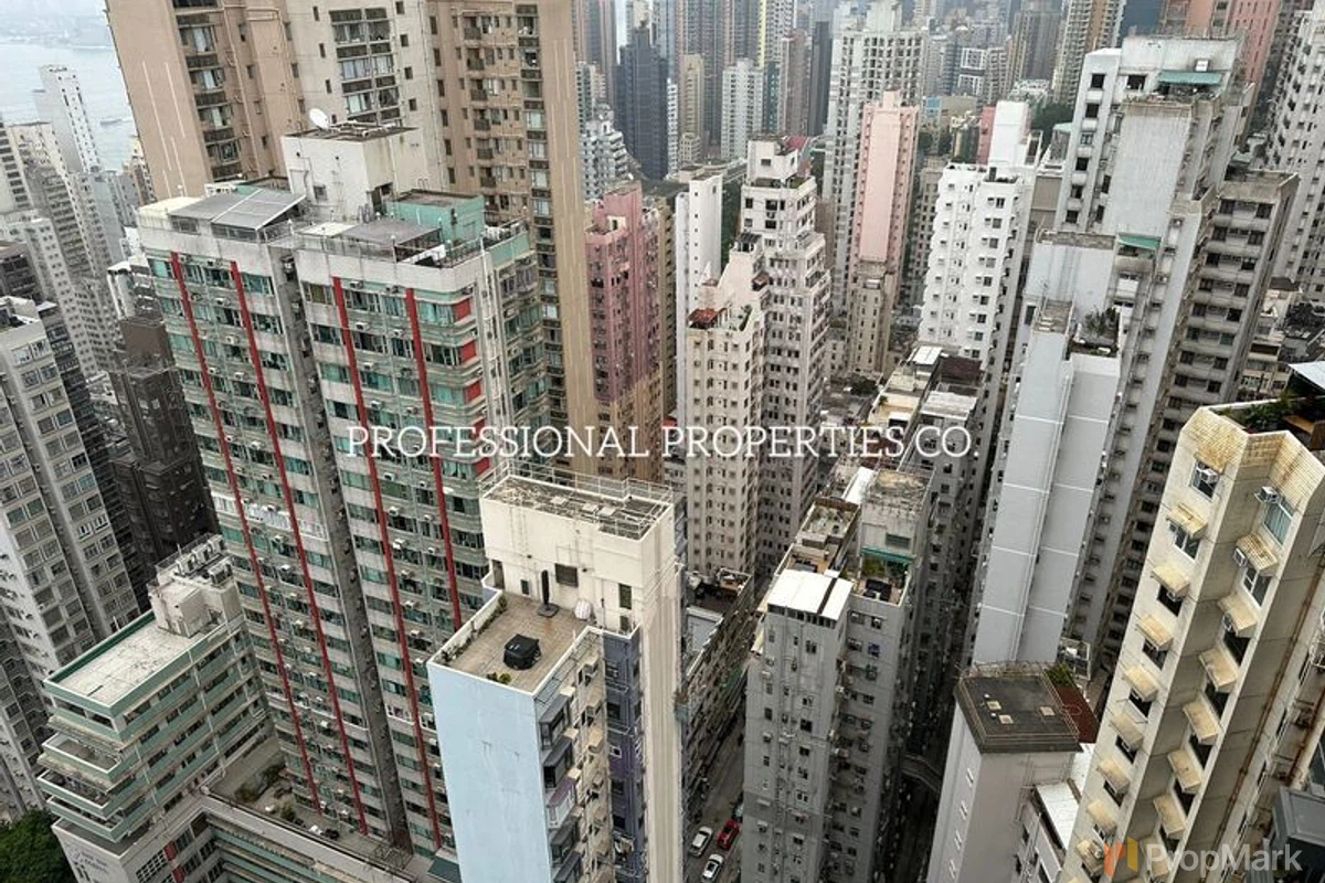 Kensington Hill - Photo 16