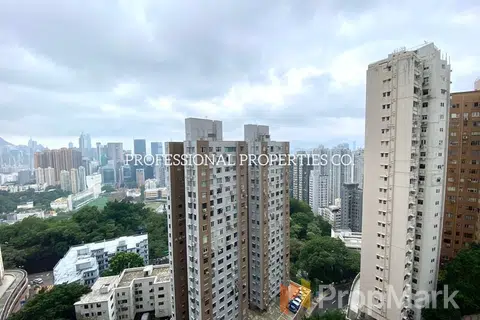 Bellevue Heights - Photo 3