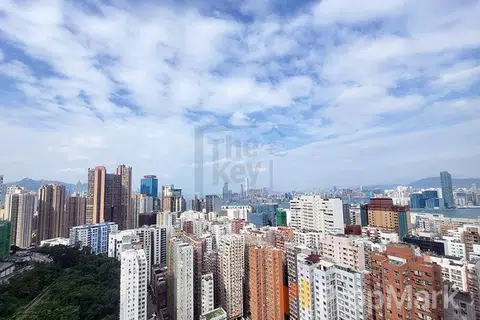 形品 - 相片 3