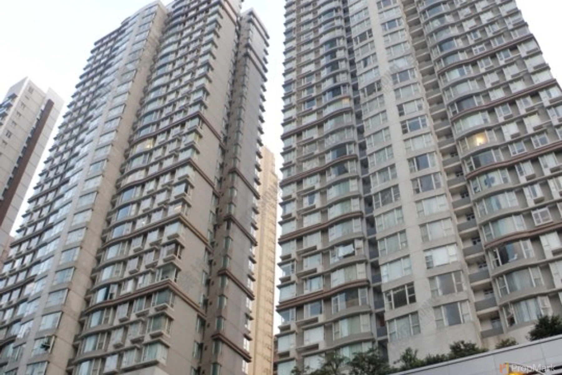 StarCrest - Photo 2