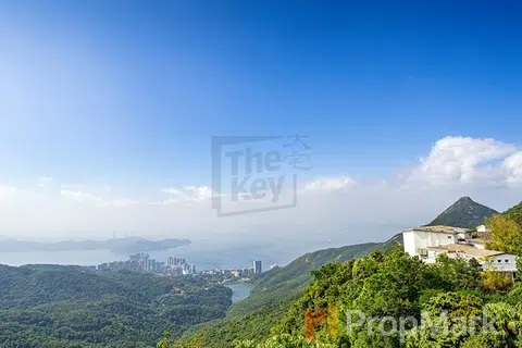 The Mount Austin - 相片