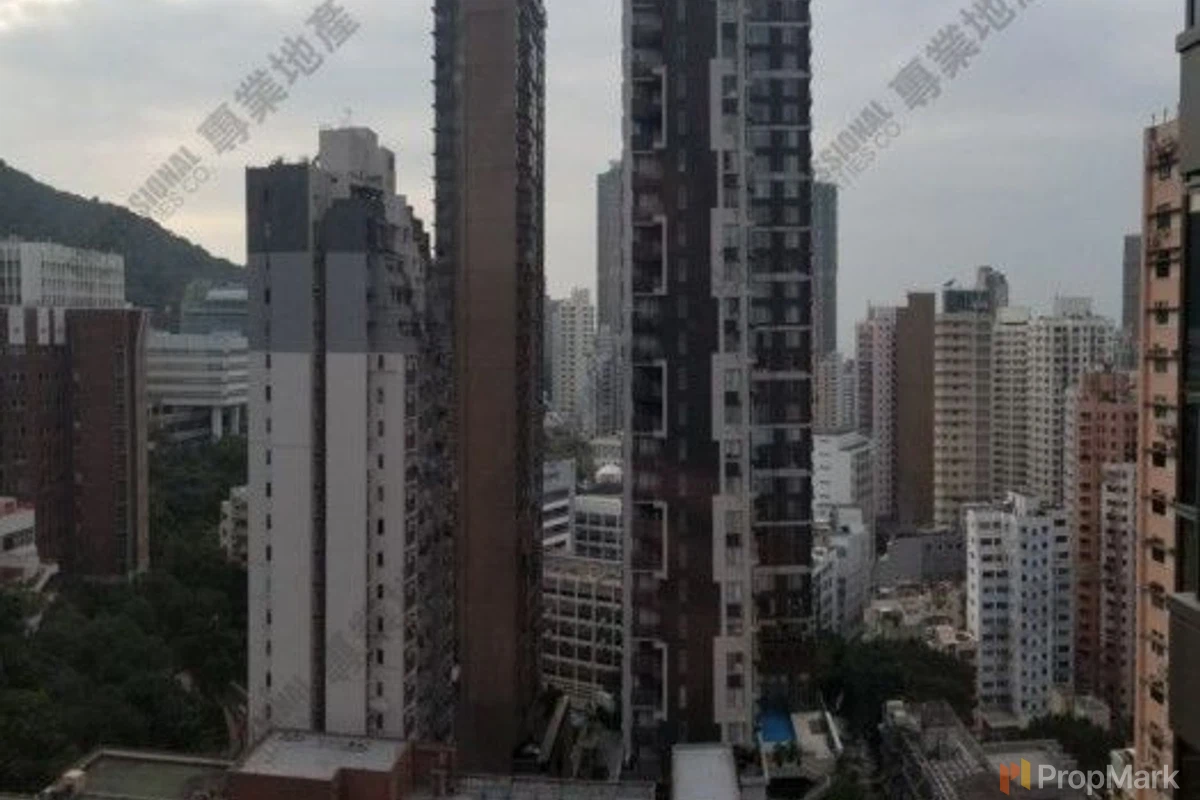 明德山 - 相片 2