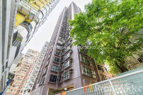 Rich View Terrace - Photo