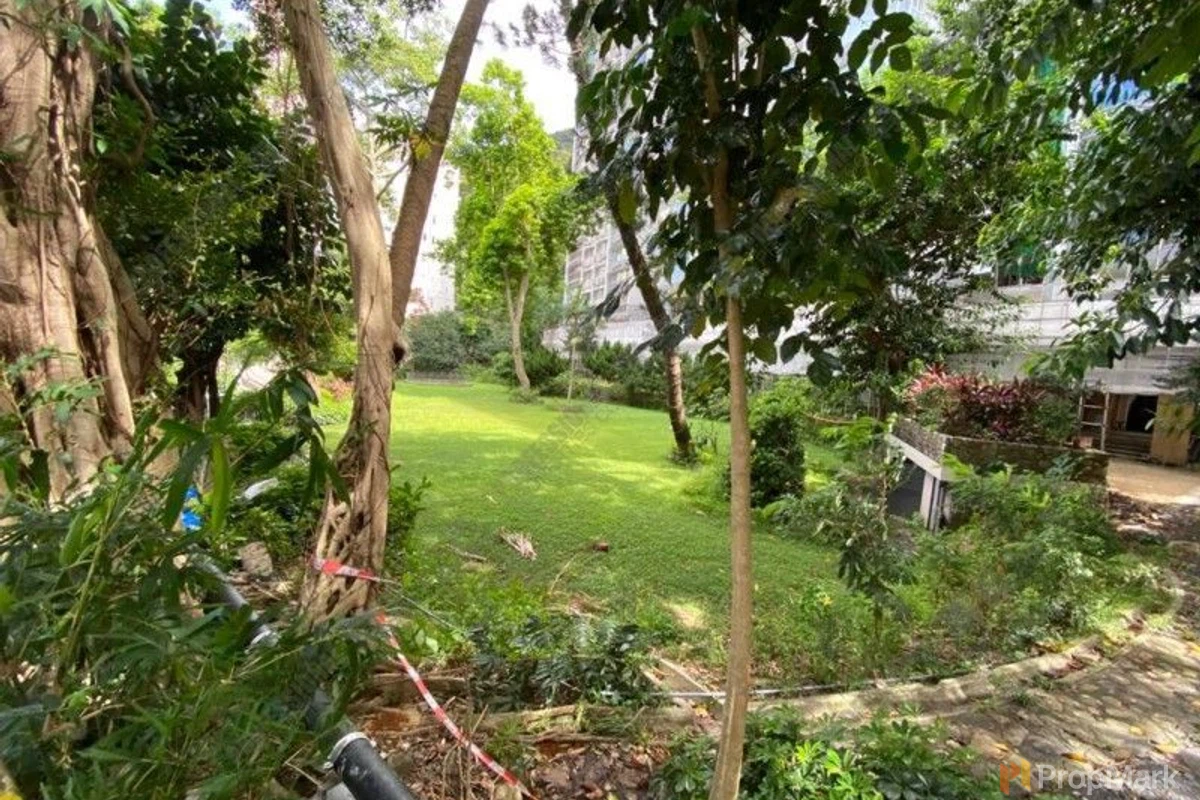 Woodland Heights - Photo 2