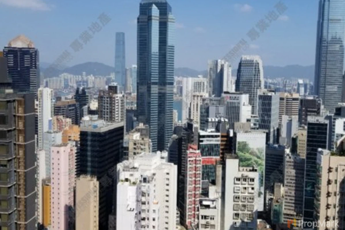 The Grand Panorama - Photo 7
