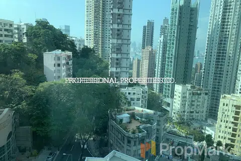 金輝園 - 相片 4