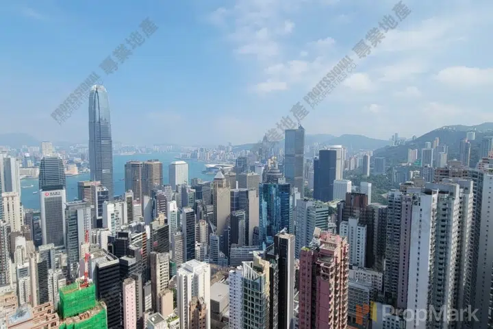 懿峰 - 相片 2