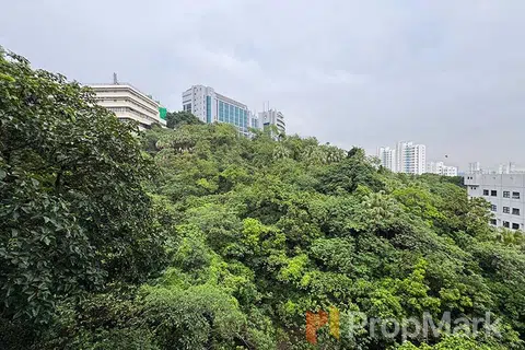 Regent Palisades - Photo 2