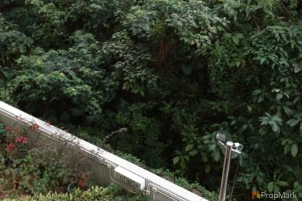 Dragon Pride - Photo 1