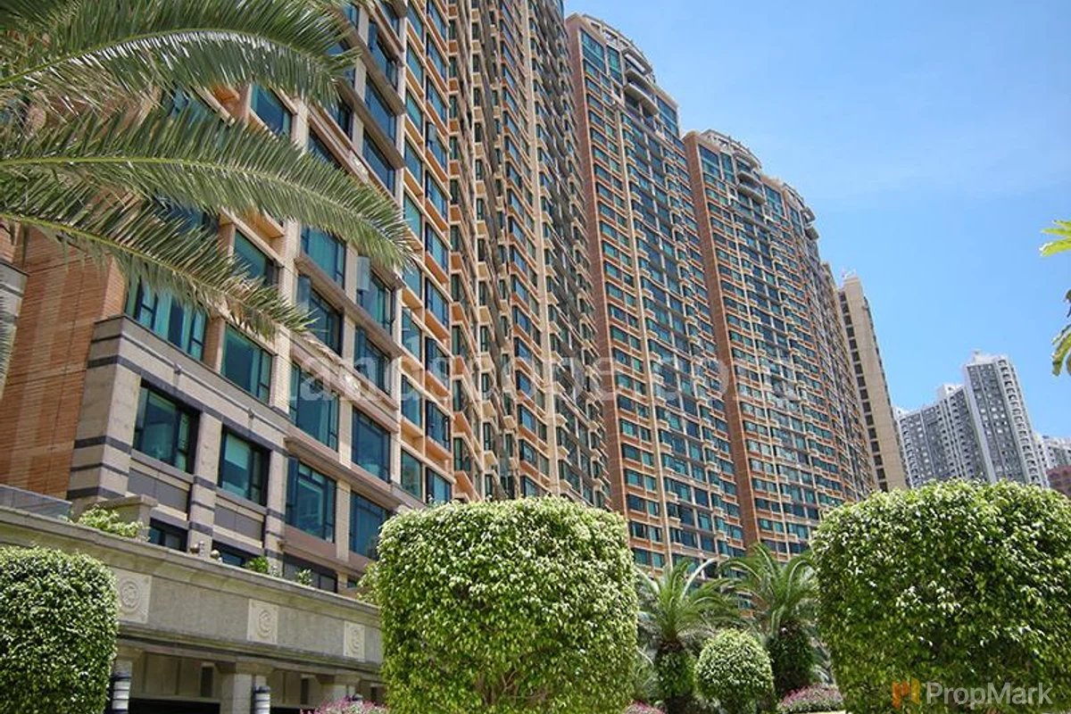 禮頓山 - 相片 1