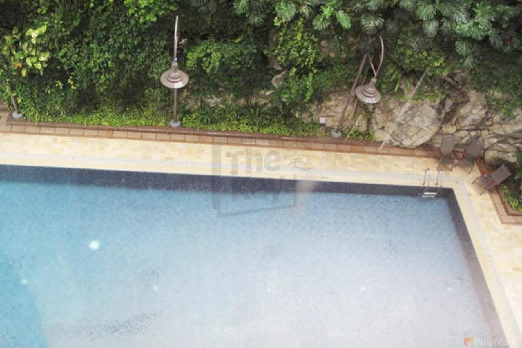 StarCrest - Photo 2
