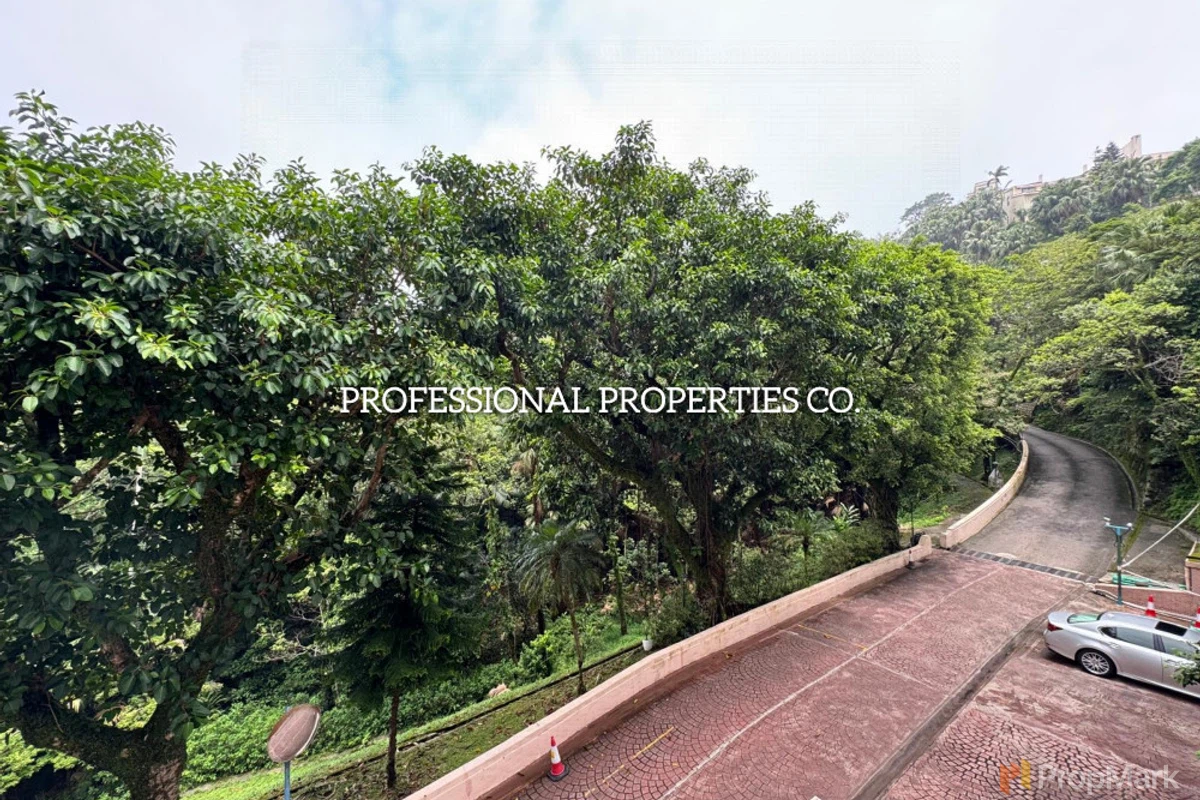 Stewart Terrace - Photo 4