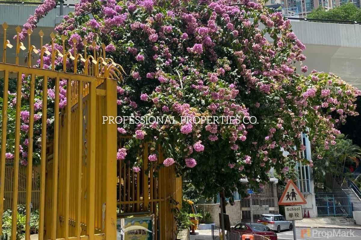 Eivissa Crest - Photo 10