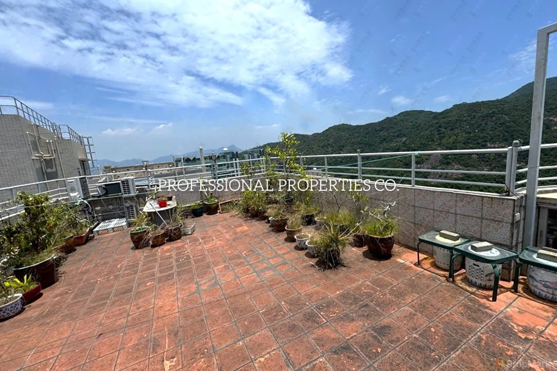 Flora Garden - Photo 20