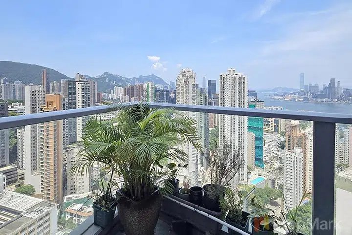 上林 - 相片 3