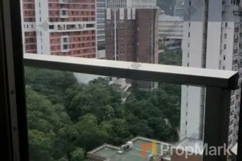 明德山 - 相片 5
