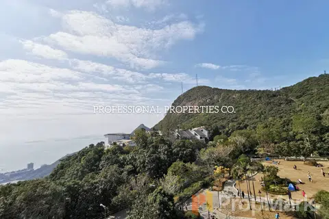 The Mount Austin - 相片 2