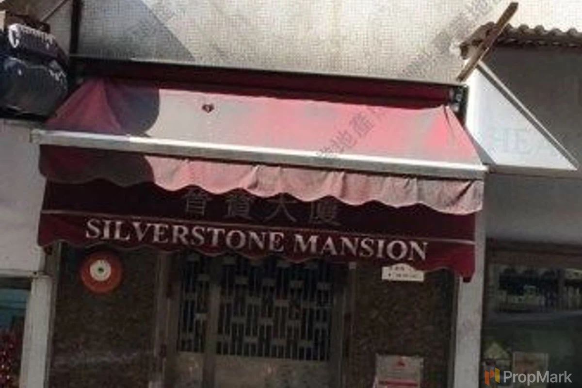 Silverstone Mansion - Photo 8