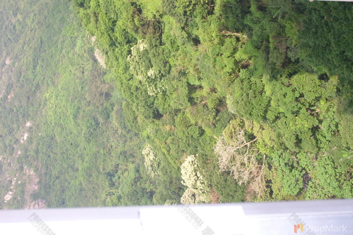 Tai Hang Terrace - Photo 10