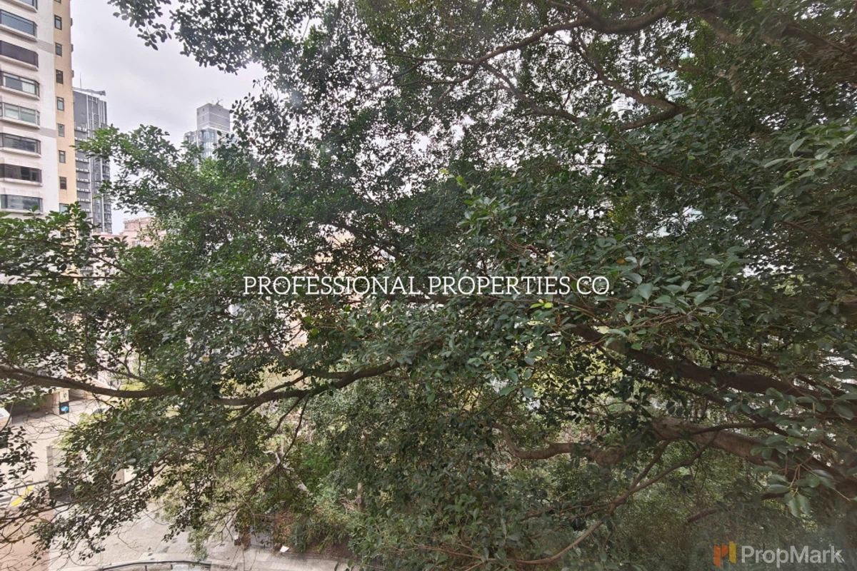 Grandview Mansion - Photo 11