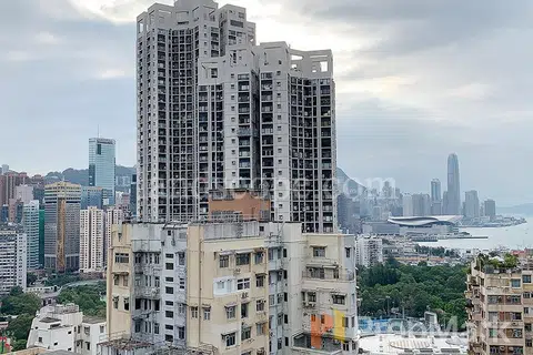 Dragon View Garden - Photo