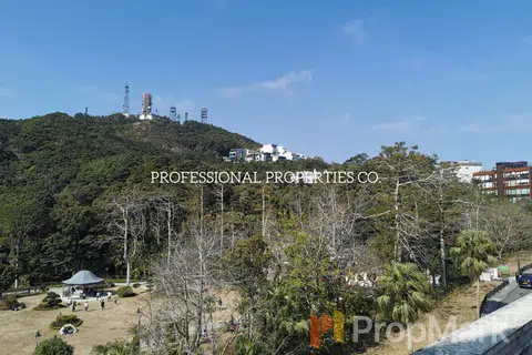 The Mount Austin - 相片
