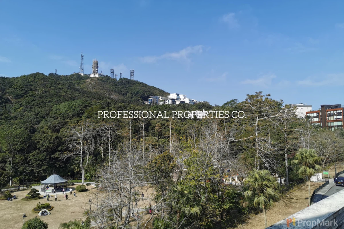 The Mount Austin - 相片 1