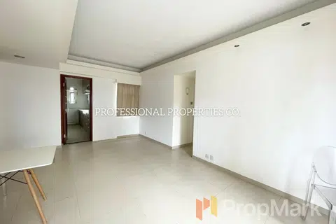 Park View Mansion - Photo 3