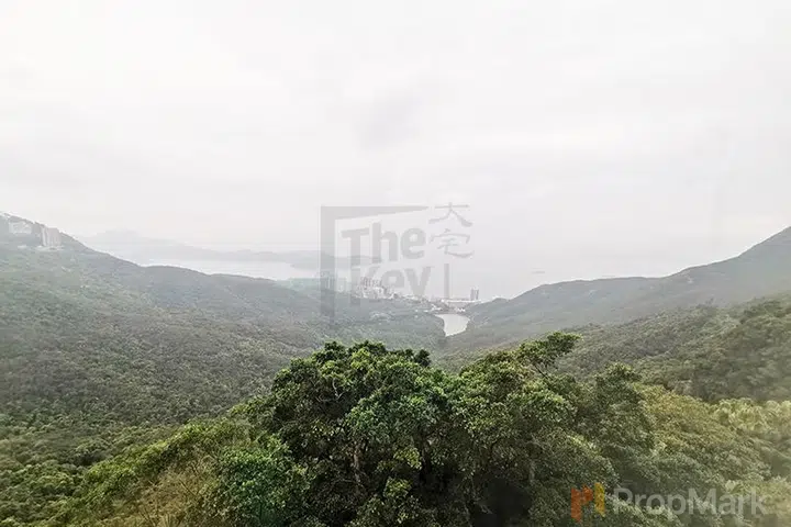 The Mount Austin - Photo 2