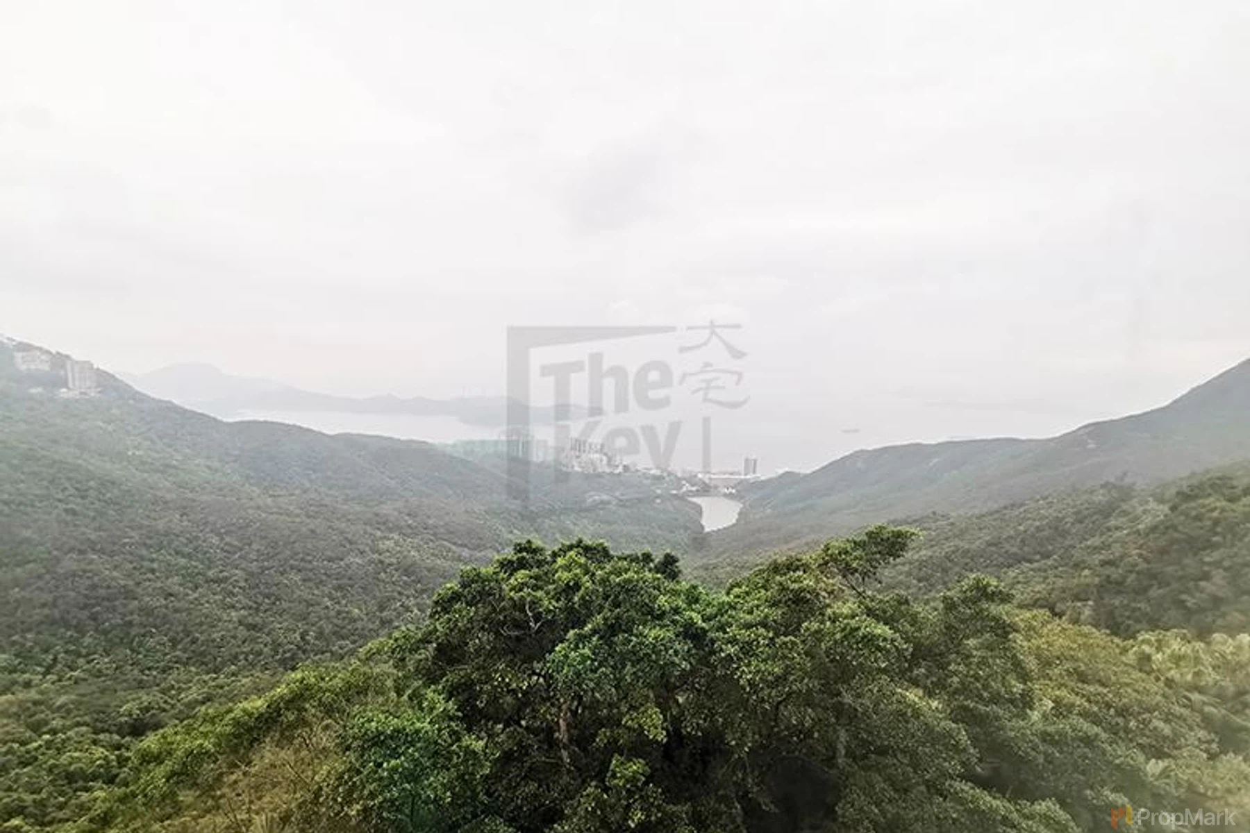 The Mount Austin - Photo 2