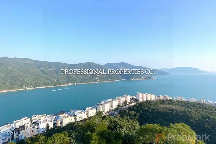 玫瑰園 - 相片