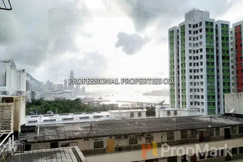 Park View Mansion - Photo 4