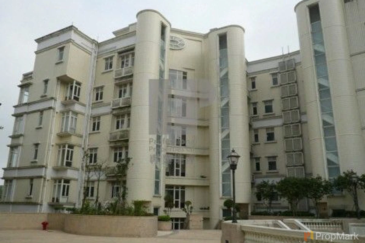 The Mount Austin - Photo 16