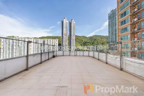 玫瑰花園 - 相片