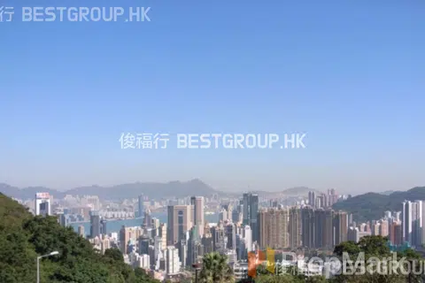 司徒拔道47A號 - 相片