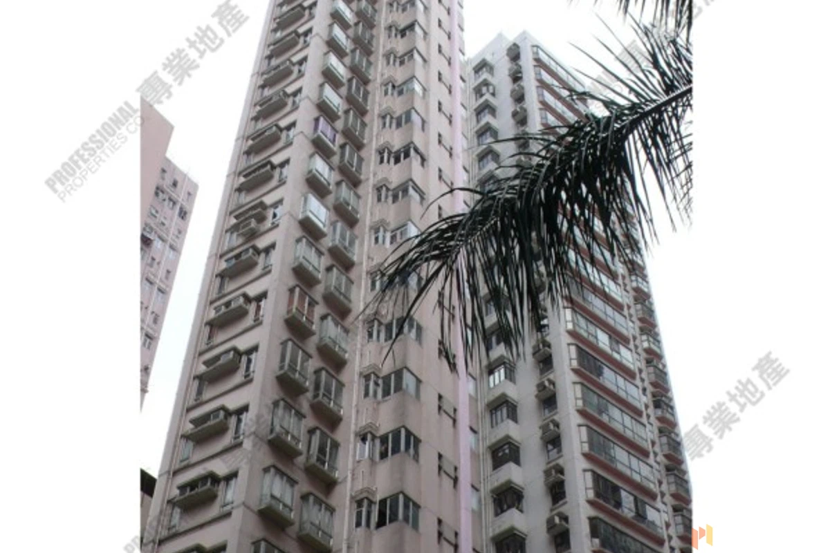 Happy Court - Photo 9